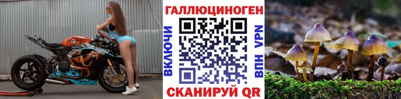 Псилоцибиновые грибы MAGIC MUSHROOMS Салаир