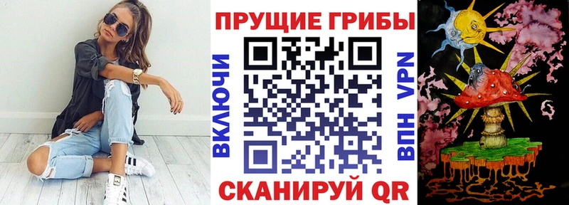 купить наркотики цена  Салаир  Галлюциногенные грибы Psilocybe 