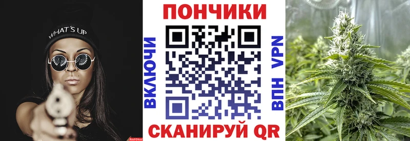 omg вход  купить наркотик  Салаир  Бошки Шишки ГИДРОПОН 